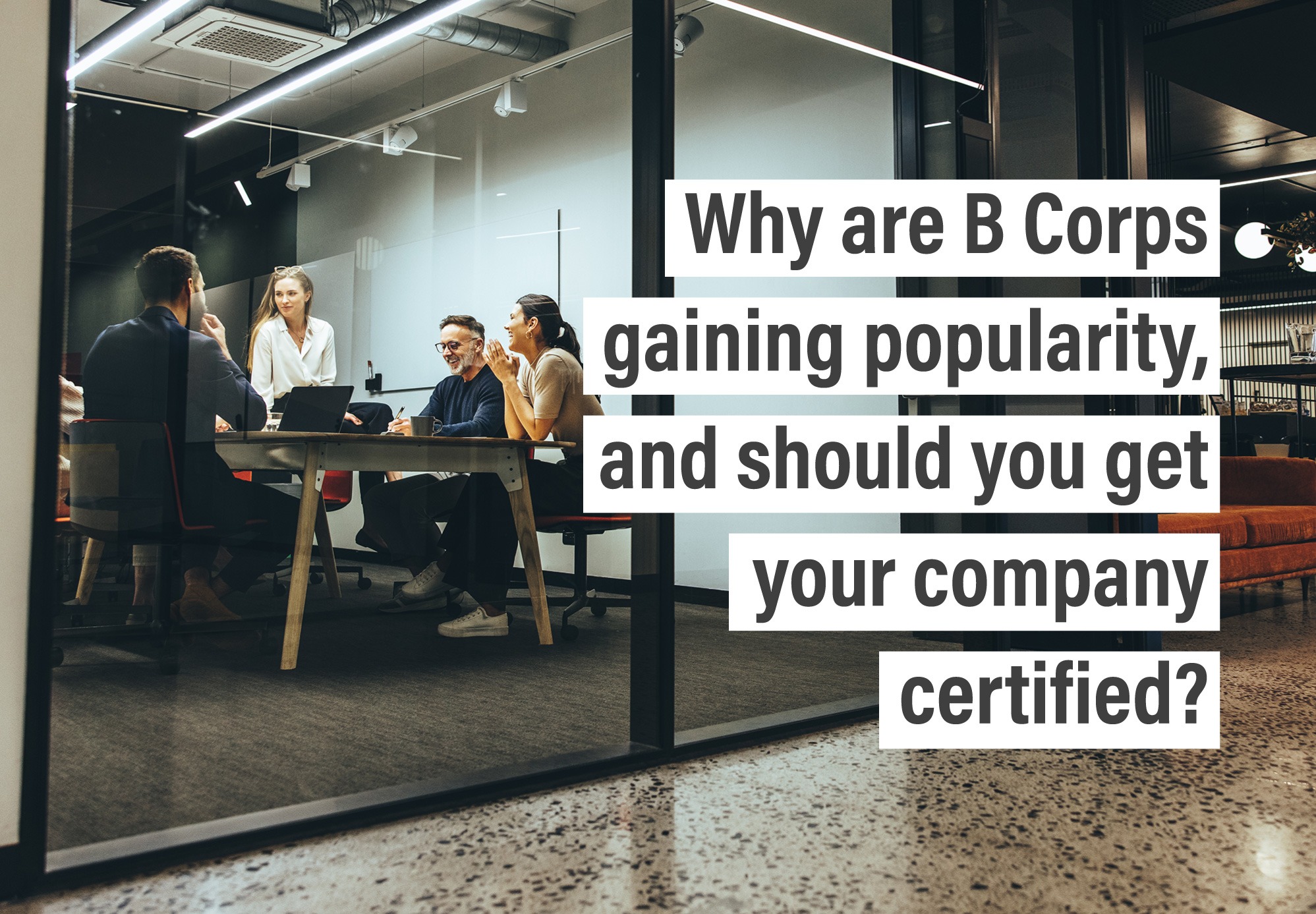 B Corps Popularity, And Should You Get Your Company Certified?