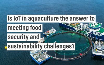Is IoT in aquaculture the answer to meeting food security and sustainability challenges?