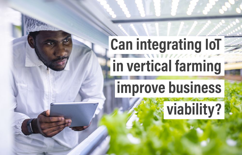 Can integrating IoT in vertical farming improve business viability?